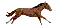 221304.gif