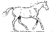 221397.gif